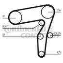 CONTINENTAL CTAM CT968WP2 Zahnriemen Kit + Wasserpumpe