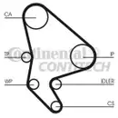 CONTINENTAL CTAM CT987WP2 Zahnriemen Kit + Wasserpumpe