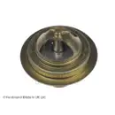 BLUE PRINT ADZ99202 Thermostat
