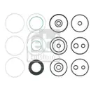 Dichtungssatz Lenkgetriebe Febi Bilstein 23718 Febi Plus für Mercedes Benz