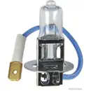 Glühlampe Herth+buss Elparts 89901095 für Daf für Ford für Iveco für Man für Vdl