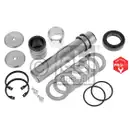 FEBI BILSTEIN 10608 Achsschenkelbolzensatz für MAN