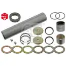 FEBI BILSTEIN 10608 Achsschenkelbolzensatz für MAN