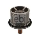 FEBI BILSTEIN 39858 Thermostat für DAF