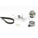 CONTINENTAL CTAM CT909WP3 Zahnriemen Kit + Wasserpumpe