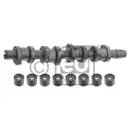 FEBI BILSTEIN 33195 Nockenwellensatz