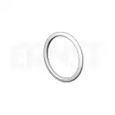 ERNST 499323 Dichtring