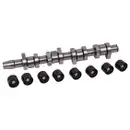 FEBI BILSTEIN 33197 Nockenwellensatz