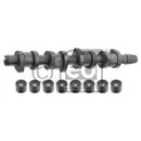 FEBI BILSTEIN 33197 Nockenwellensatz