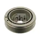 FEBI BILSTEIN 30171 Riemenscheibe (entkoppelt) für IVECO, FIAT