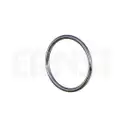 ERNST 493130 Dichtring