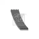 FEBI BILSTEIN 28863 Keilrippenriemen
