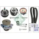 INA 530 0089 31 Wapu + ST Kit