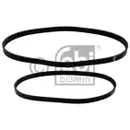 Keilrippenriemensatz Febi Bilstein 40860 für Ford für Ford Usa