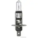 Glühlampe Herth+buss Elparts 89901092 für Daf für Fiat für Iveco für Mitsubishi