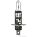 Glühlampe Herth+buss Elparts 89901092 für Daf für Fiat für Iveco für Mitsubishi