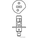 Glühlampe Herth+buss Elparts 89901092 für Daf für Fiat für Iveco für Mitsubishi