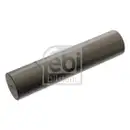 FEBI BILSTEIN 15864 Achsschenkelbolzen