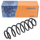 SPIDAN 49546 Fahrwerksfeder