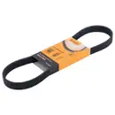 CONTINENTAL CTAM 6PK842 ELAST Keilrippenriemen