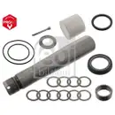 FEBI BILSTEIN 04541 Achsschenkelbolzensatz