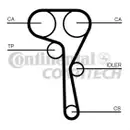 CONTINENTAL CTAM CT1167 Zahnriemen