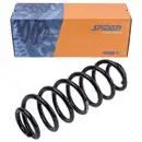 2x Spidan Fahrwerksfeder 86487 Hinterachse VW Passat Tiguan