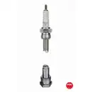 Zündkerze Ngk 5006 Quick für Honda für Suzuki für Piaggio für Yamaha für Aprilia