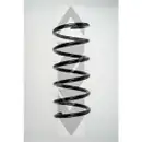 2x Spidan Fahrwerksfeder 55258 Hinterachse Fiat Panda