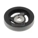 FEBI BILSTEIN 31100 Riemenscheibe für FORD, PEUGEOT, CITROËN, VOLVO, SUZUKI