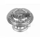 FEBI BILSTEIN 09698 Thermostat
