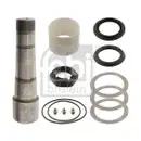 FEBI BILSTEIN 28585 Achsschenkelbolzensatz für VOLVO, RENAULT