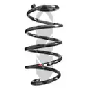 2x Spidan Fahrwerksfeder 86472 Vorderachse Audi A3 Seat Leon Skoda Octavia II VW