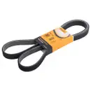 CONTINENTAL CTAM 7DPK1697 Keilrippenriemen