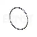 ERNST 492423 Dichtring