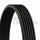 CONTINENTAL CTAM 6PK2581 Keilrippenriemen
