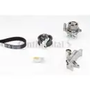 CONTINENTAL CTAM CT909WP4 Zahnriemen Kit + Wasserpumpe