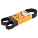 CONTINENTAL CTAM 7PK1165 Keilrippenriemen