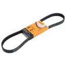 CONTINENTAL CTAM 6PK989 ELAST Keilrippenriemen