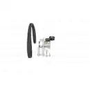 BOSCH 1 987 948 738 Wasserpumpe + Zahnriemensatz