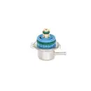 BOSCH 0 280 160 560 Kraftstoffdruckregler