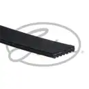 GATES 7PK2255 Keilrippenriemen