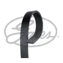 GATES 6PK1845XS Keilrippenriemen