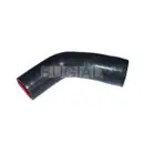 Ladeluftschlauch Bugiad 88623 für Peugeot für Ford