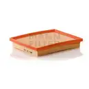 MANN-FILTER C 22 009 Luftfilter