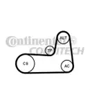 CONTINENTAL CTAM 5PK1125K1 Keilrippenriemen Kit