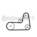 CONTINENTAL CTAM 5PK1125K1 Keilrippenriemen Kit