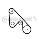 CONTINENTAL CTAM 5PK1145K1 Keilrippenriemen Kit
