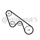 CONTINENTAL CTAM 5PK1150K1 Keilrippenriemen Kit