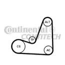 CONTINENTAL CTAM 5PK1200K1 Keilrippenriemen Kit